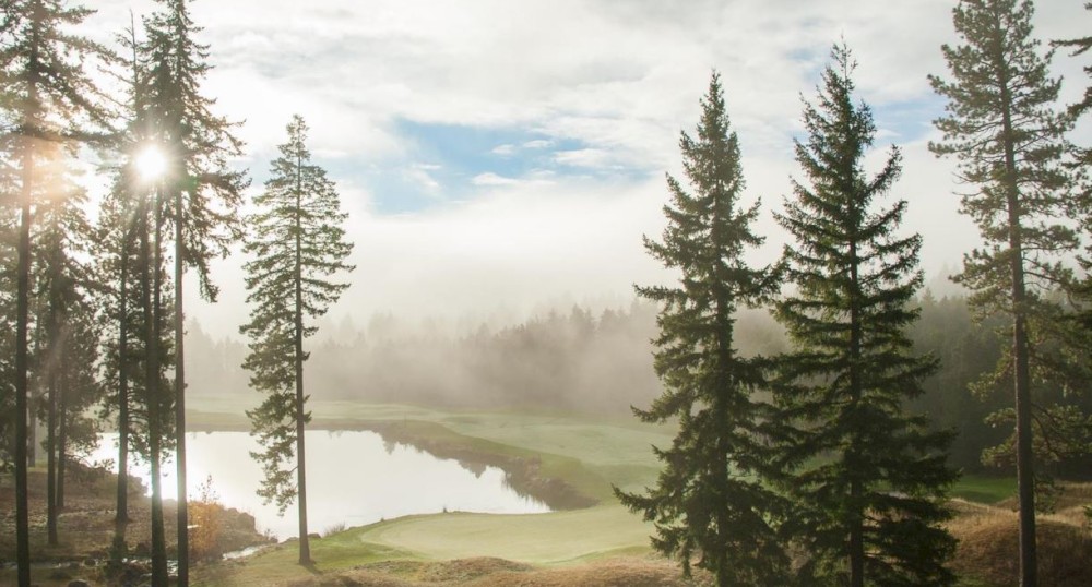 This image shows a misty, forested landscape with tall trees, a serene pond, and a sunlit sky, creating a tranquil and scenic atmosphere.