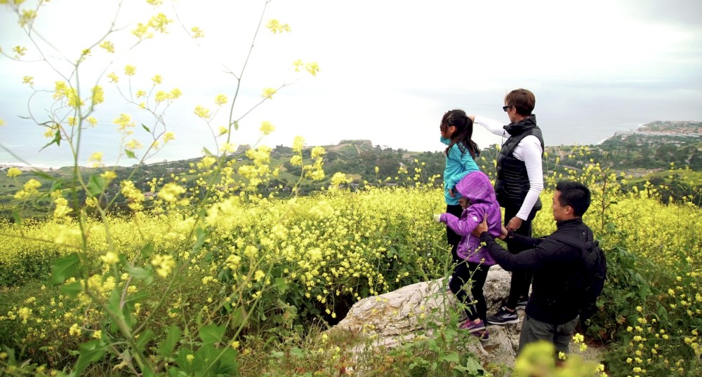 A family of four stands in a field of yellow flowers, enjoying the scenic view. The sky is overcast, and they appear to be on a nature hike.