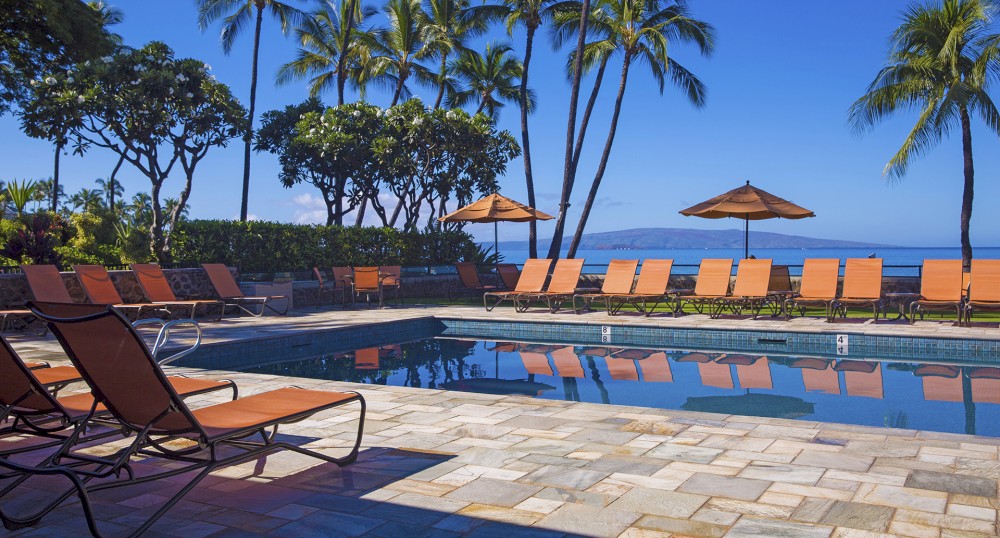 A serene outdoor pool area with lounge chairs and umbrellas, framed by palm trees with an ocean view under a clear blue sky.