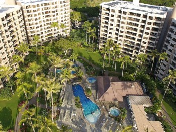 High-rise buildings surround a resort pool area with palm trees and lounge chairs in the center.